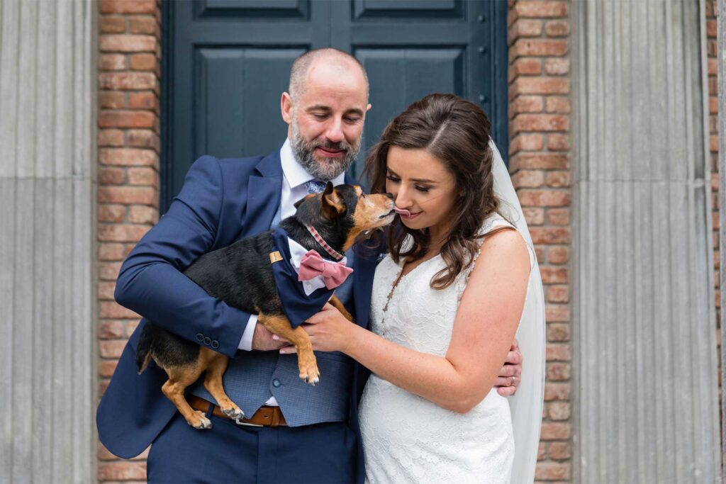 dog friendly wedding venues ireland