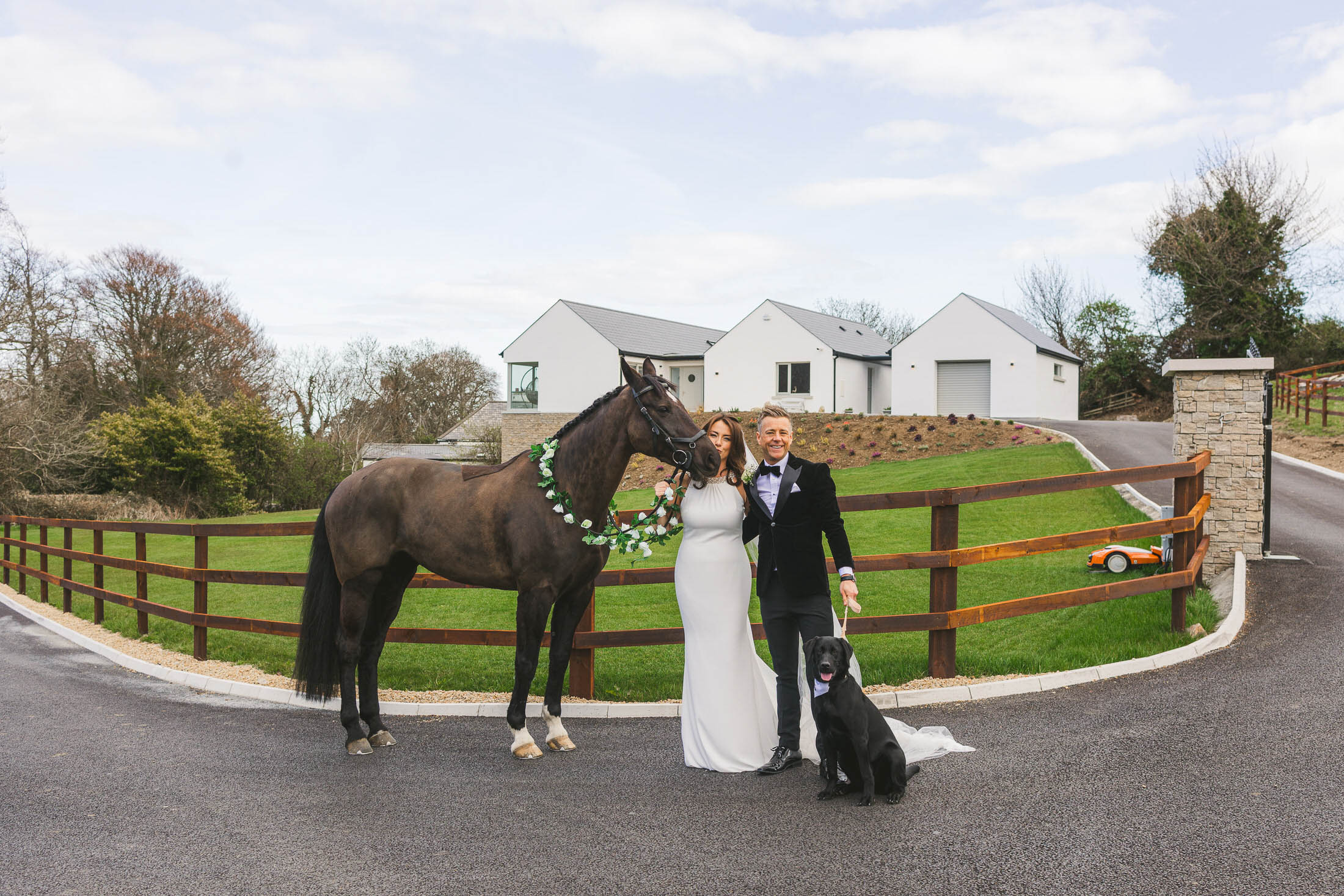Horse at wedding Ireland